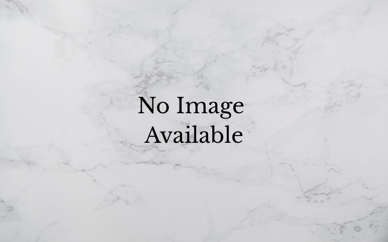 Annual Edition - Newsletter Image